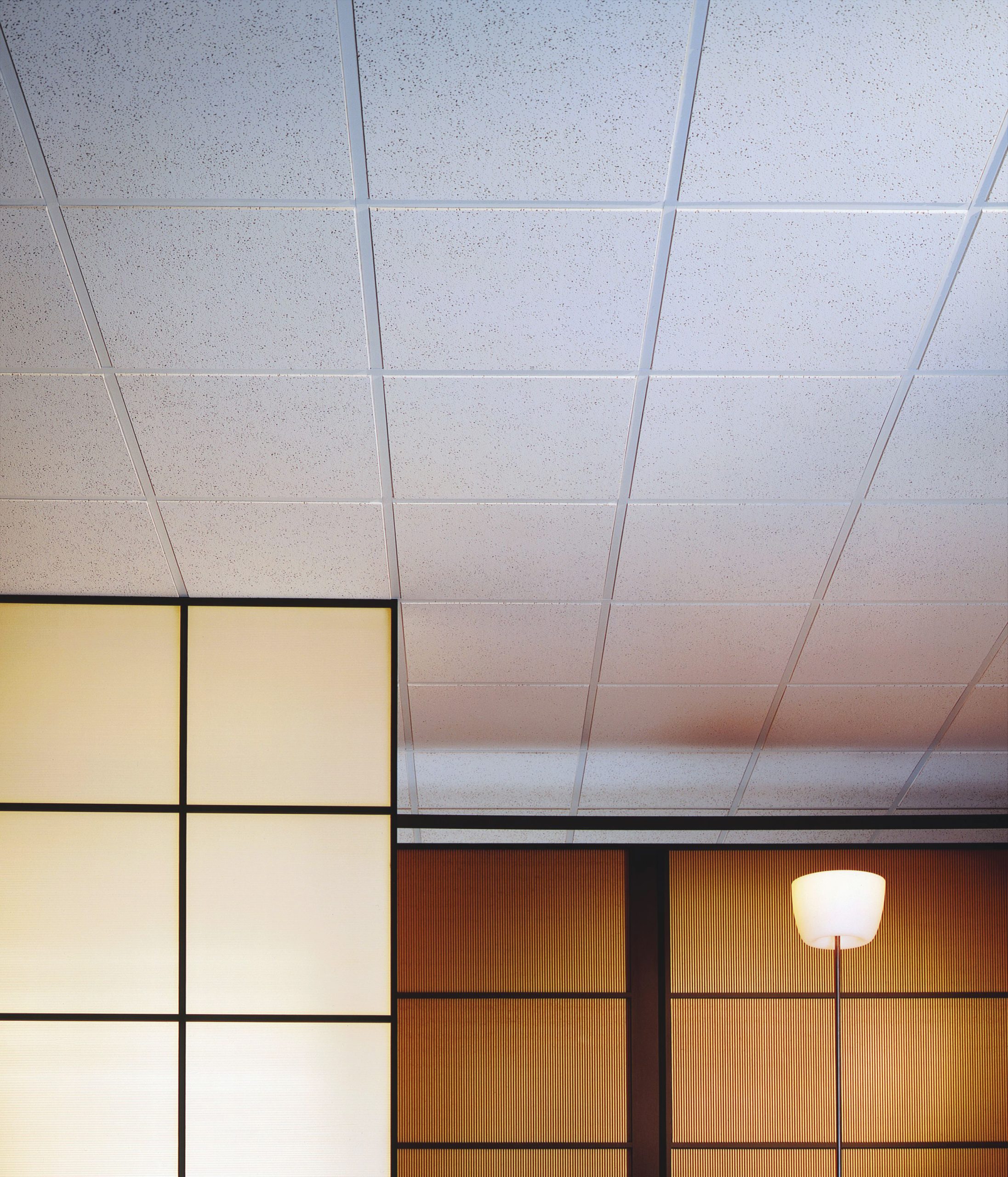 USG Acoustic Ceiling Tiles – SMR